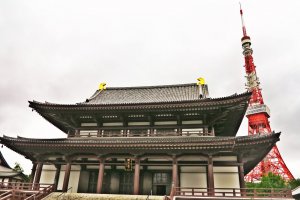 传统和摩登的和谐相处模式：增上寺和东京塔